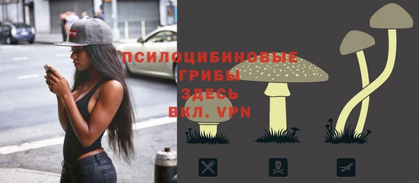дмт Пересвет