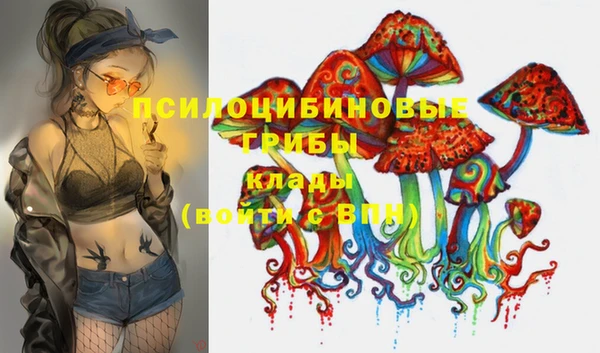 дмт Пересвет
