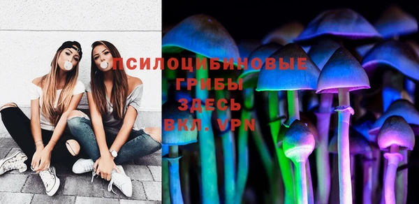 стаф Покровск