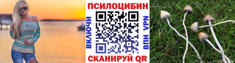 Галлюциногенные грибы GOLDEN TEACHER  маркетплейс клад  Беслан 