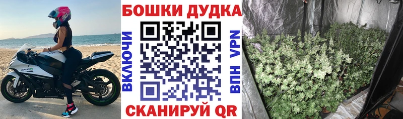 где можно купить наркотик  мега маркетплейс  Каннабис VHQ  Беслан 